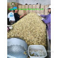 Kernut Kernels Light Pieces Competitive Price